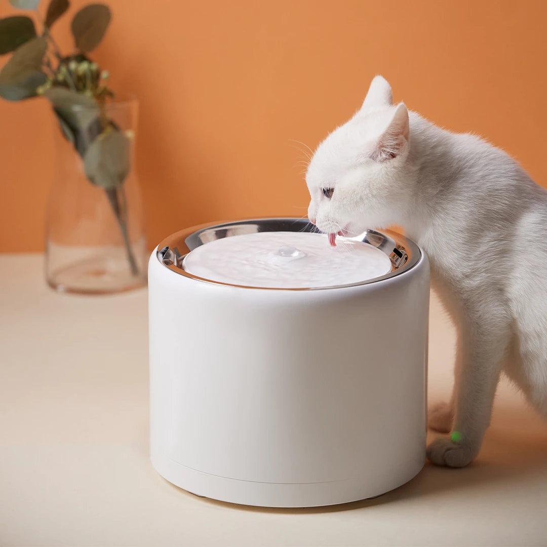 Fonte de Água Automática para Animais Davuni