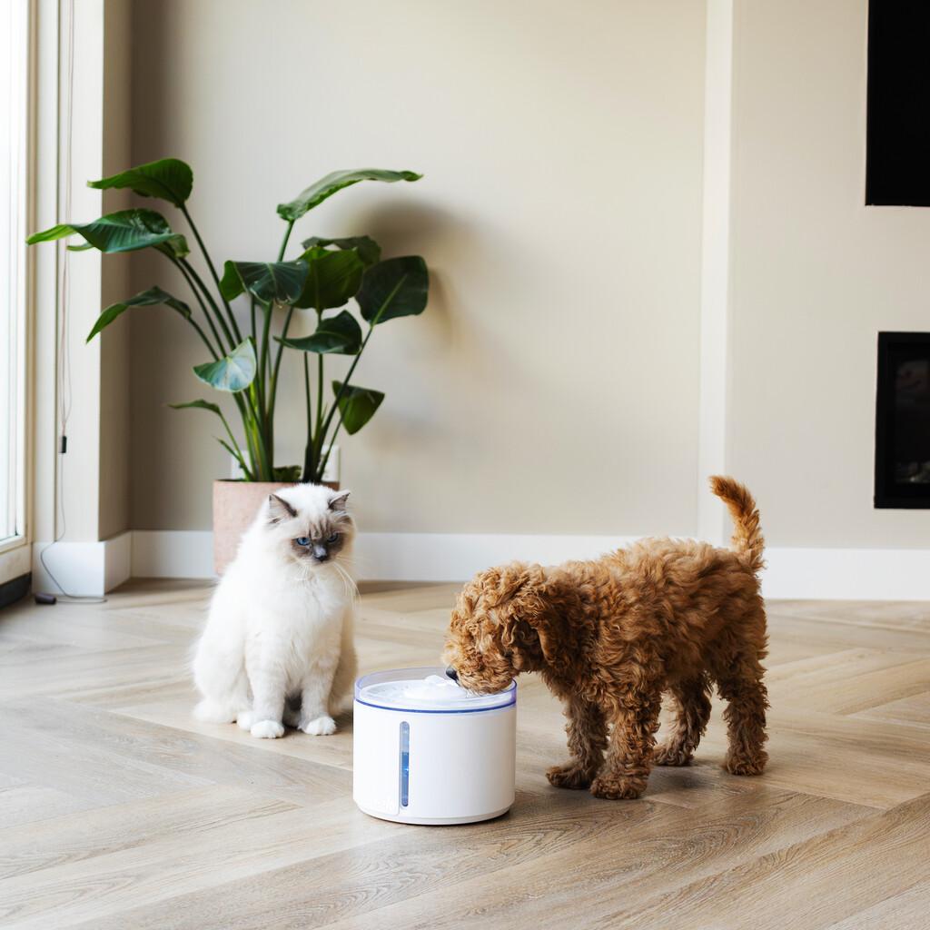 Fonte de Água Automática para Animais Davuni