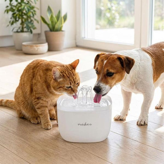 Fonte de Água Automática para Animais Davuni